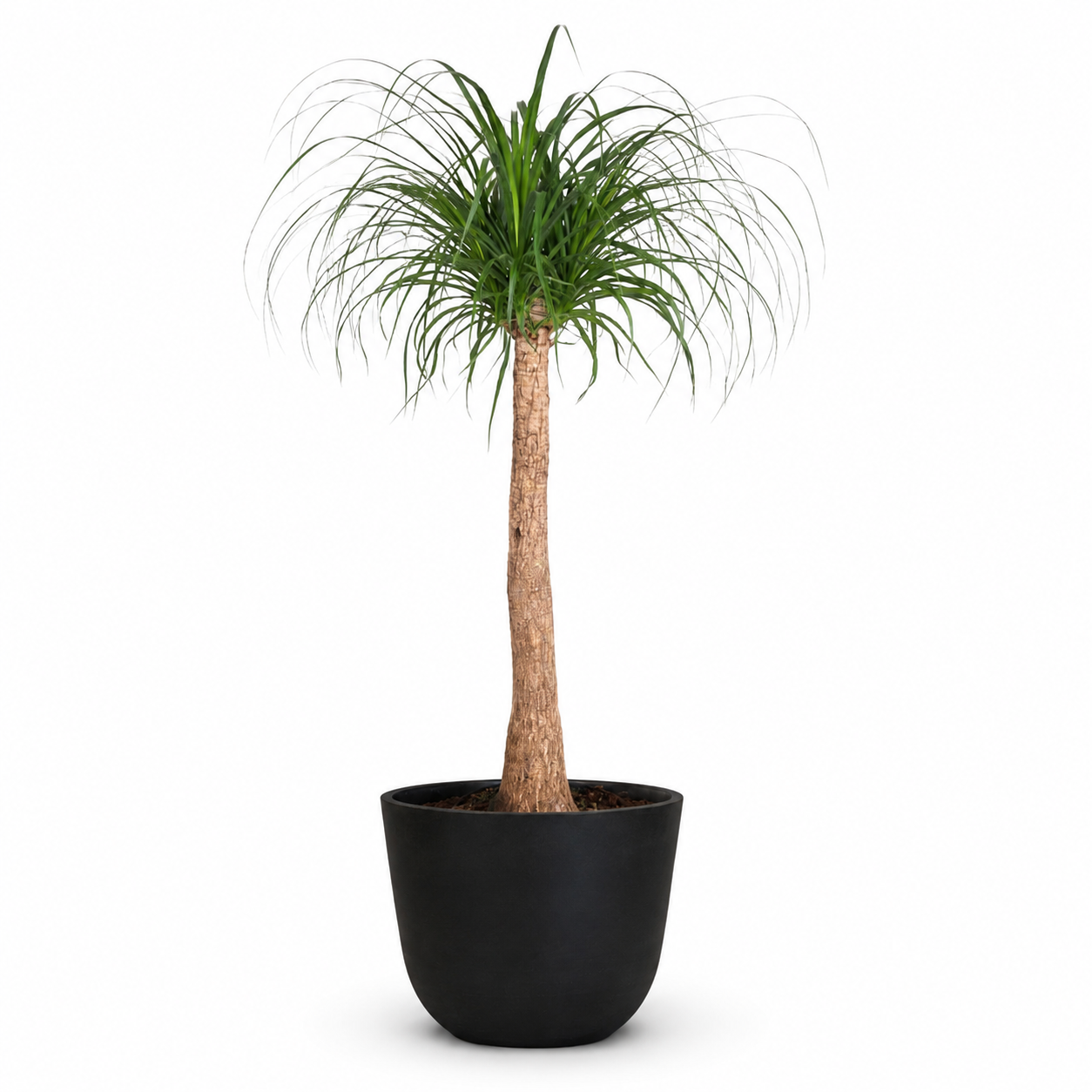 Warm Welkom Compact